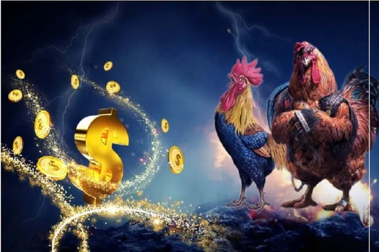 Bí Kíp Chơi Đá Gà WS168 Tại 789BET Thắng Lớn Dễ Dàng Hơn Bao Giờ 2 Bí Kíp Chơi Đá Gà WS168 Tại 789BET Thắng Lớn Dễ Dàng Hơn Bao Giờ